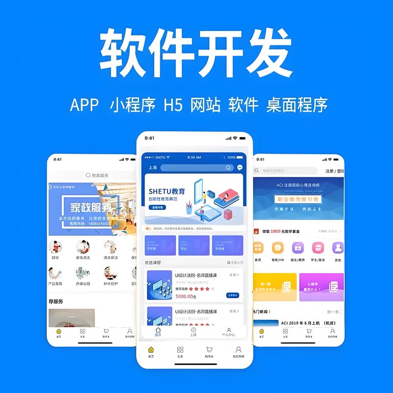 如何选择最适合您的定制软件？这里有你需要了解的一切。