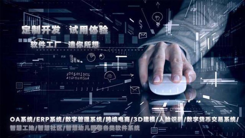 在数字化转型的大潮中，许多企业都在寻找适合自己的解决方案。定制软件成为越来越多企业的首选，但这背后究竟蕴藏着怎样的机遇与挑战？让我们一起探索。